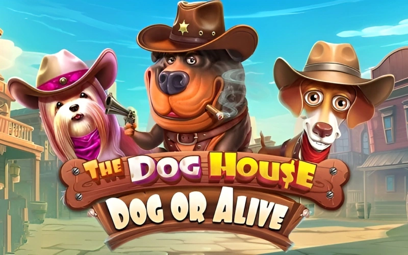 Try The Dog House game series Dog or Alive at Mostbet.