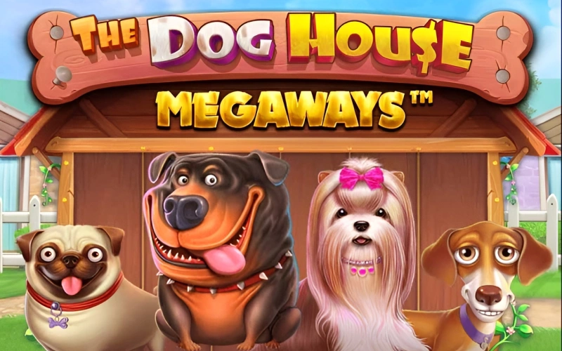 Try out The Dog House Megaways game at Mostbet.
